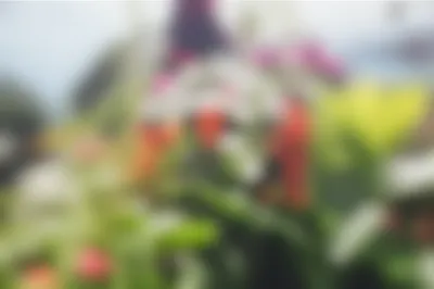 Hình ảnh minh họa resolving - Ảnh 1