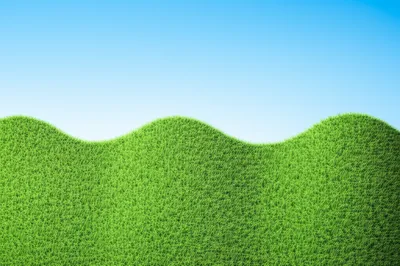 Illustration crests - Image 1