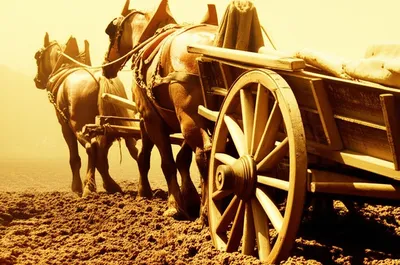 Illustration hitches - Image 1