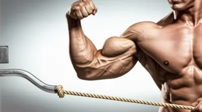 Illustration tensor - Image 1