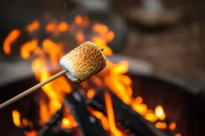 Illustration toasted