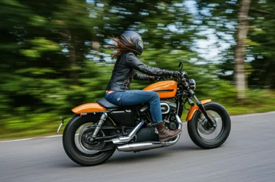 Illustration putted - Image 1