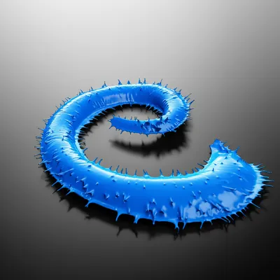 Illustration curling - Image 1