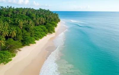 Illustration accosts - Image 1