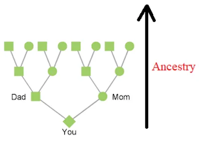 Illustration ancestry - Image 2