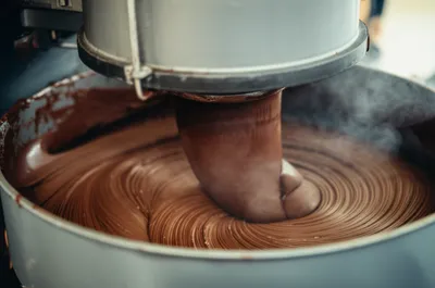 Illustration conch - Image 1