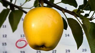 Illustration matured - Image 1