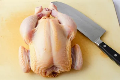 Illustration frog - Image 1