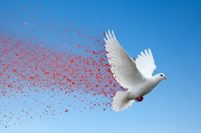 Illustration sanguine - Image 1