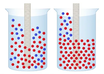 Illustration tonicity - Image 1