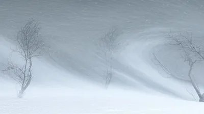 Illustration blizzards - Image 1