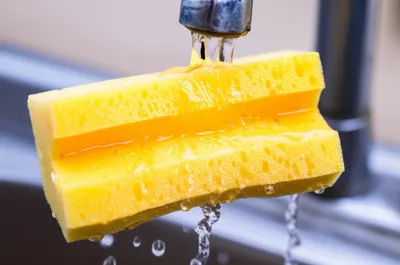 Illustration soak - Image 1