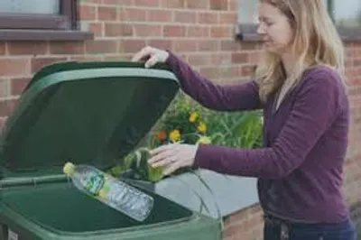 Illustration bin - Image 2