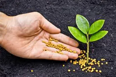 Illustration fertilize - Image 2