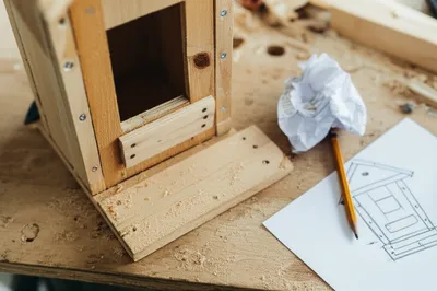 Illustration scratch - Image 1