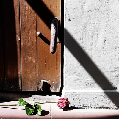 Illustration unwelcome - Image 1