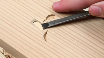 Illustration carves