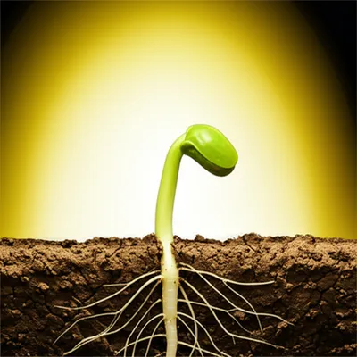 Illustration awaken - Image 1