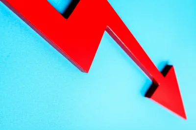 Illustration bear - Image 1