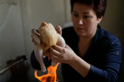 Illustration singes - Image 1