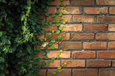 Illustration ramp - Image 1