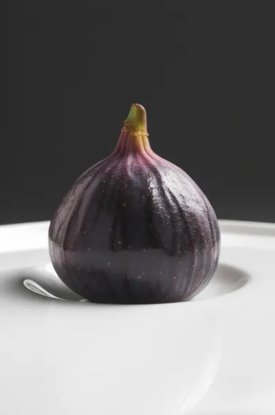 Illustration delicate - Image 1