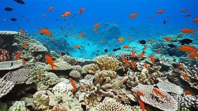 Illustration greater