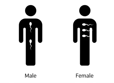 Illustration gender - Image 1