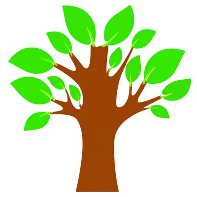 Illustration appendages - Image 2