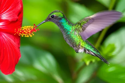 Illustration alighting - Image 1