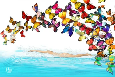 Illustration flies - Image 1