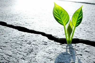 Illustration recovering - Image 1