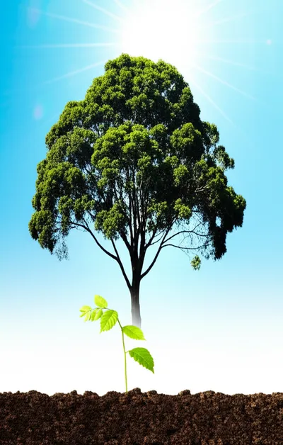 Illustration raised - Image 1