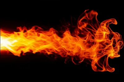 Illustration grill - Image 1