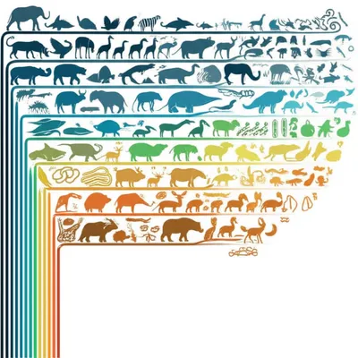 Illustration taxonomies - Image 1