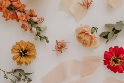 Illustration snapdragons - Image 2