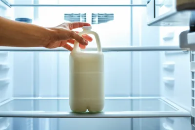 Illustration fridge - Image 1