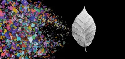 Illustration information