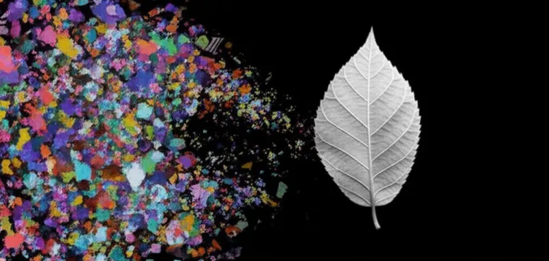 "information" शब्द का दृश्य चित्रण - जानकारी, सूचना