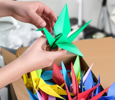 Illustration unpacking