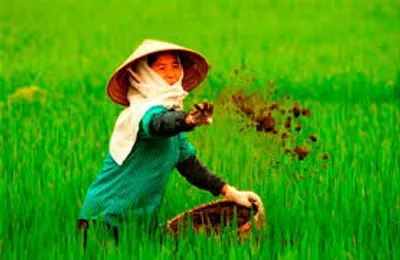 Illustration dung - Image 2