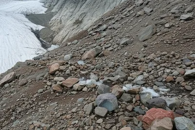 Illustration detritus