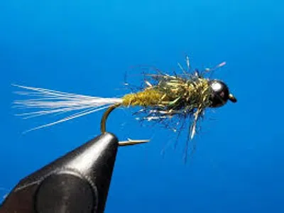 Illustration dub - Image 2