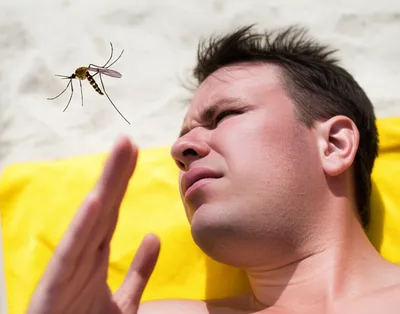 Illustration pesters