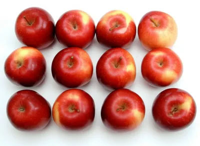 Illustration twelve - Image 1