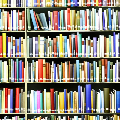 Illustration cataloging - Image 1