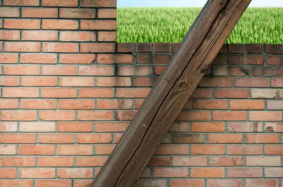 Illustration backs - Image 1