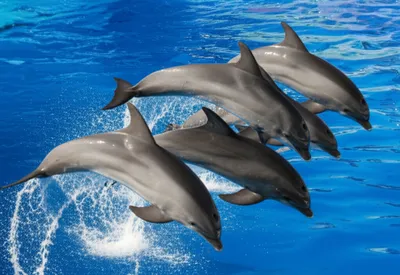 Illustration tumblers - Image 1