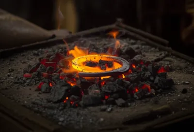 Illustration glows - Image 1