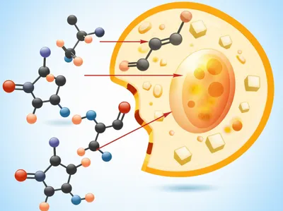 Illustration sugar - Image 1